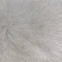 Light Grey fur