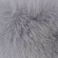 Purple Grey fur