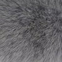 Haze Blue fur