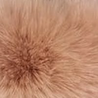 Skin Pink fur