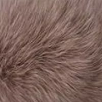 Cameo fur