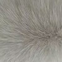Mustard Green fur