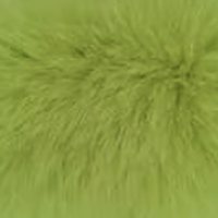Shiny Green fur
