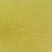 Yellow fur