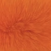 Orange fur