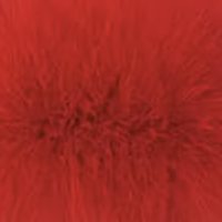 Red fur