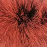 Red Frost fur