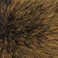 Gold Frost fur