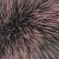 Purple Frost fur